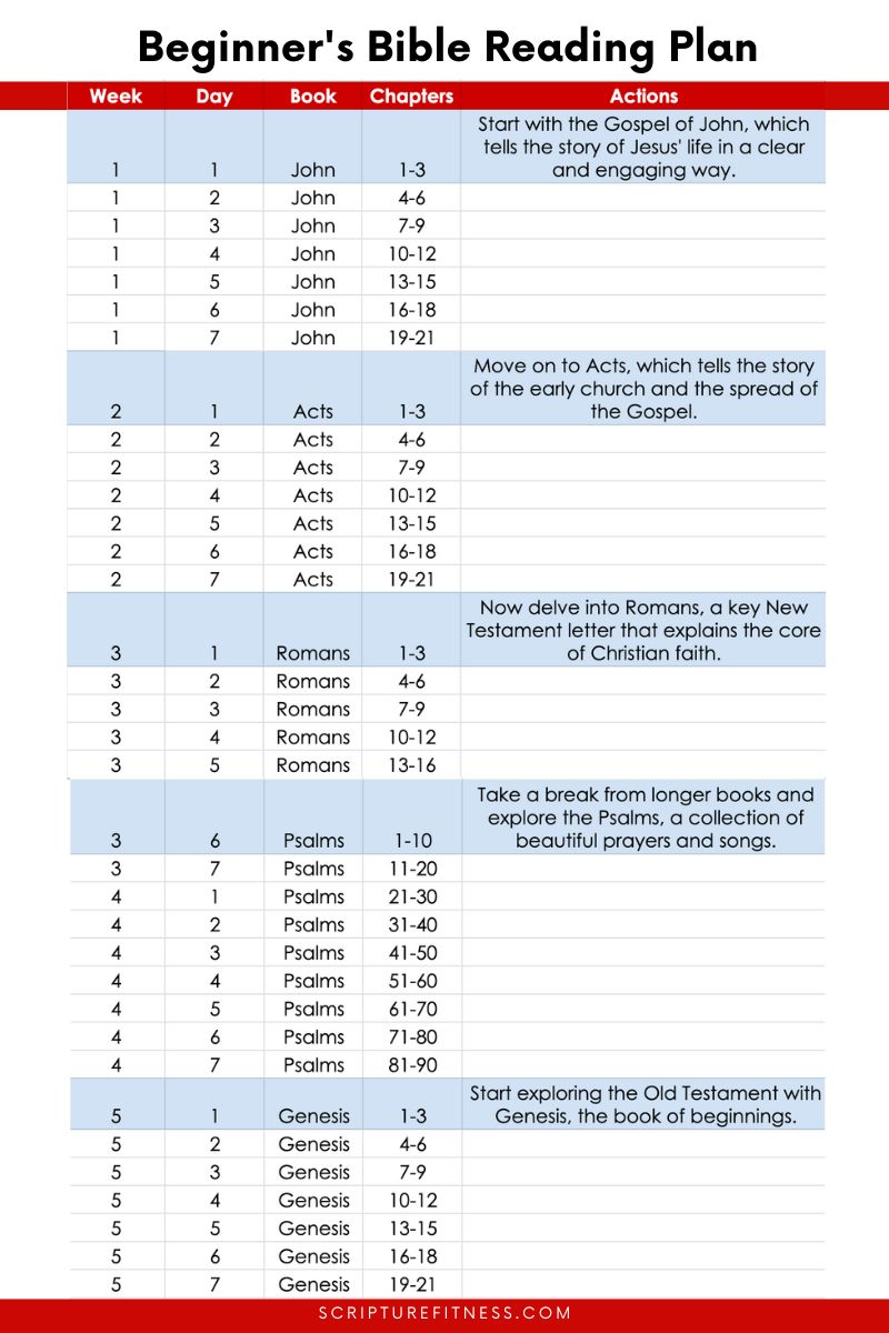 bible reading plan for beginners