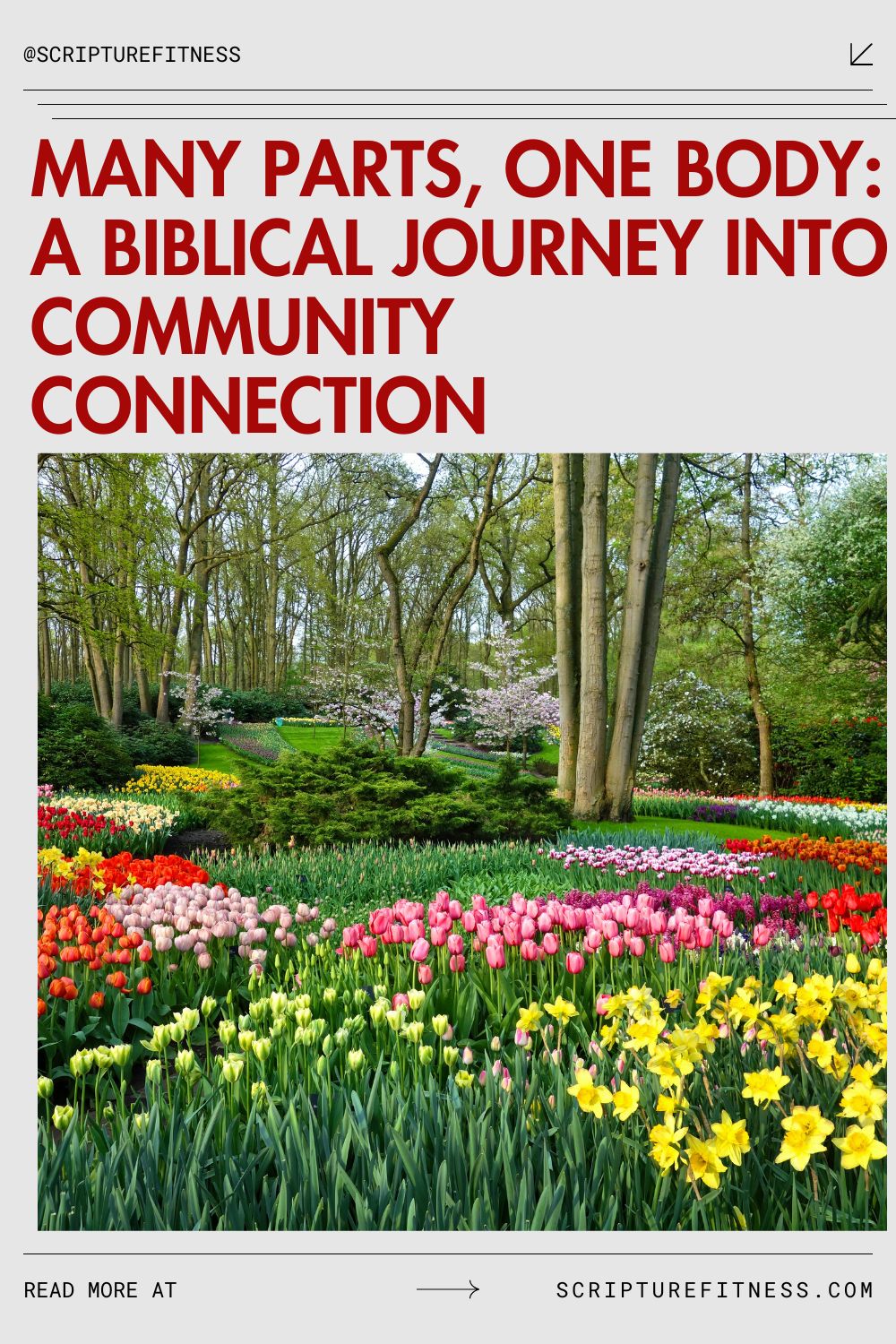 Community Connections